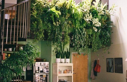 green home